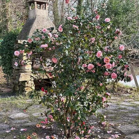 Le Jardin Des Reves - Maison Familiale Avec Piscine Villa Vendays-Montalivet